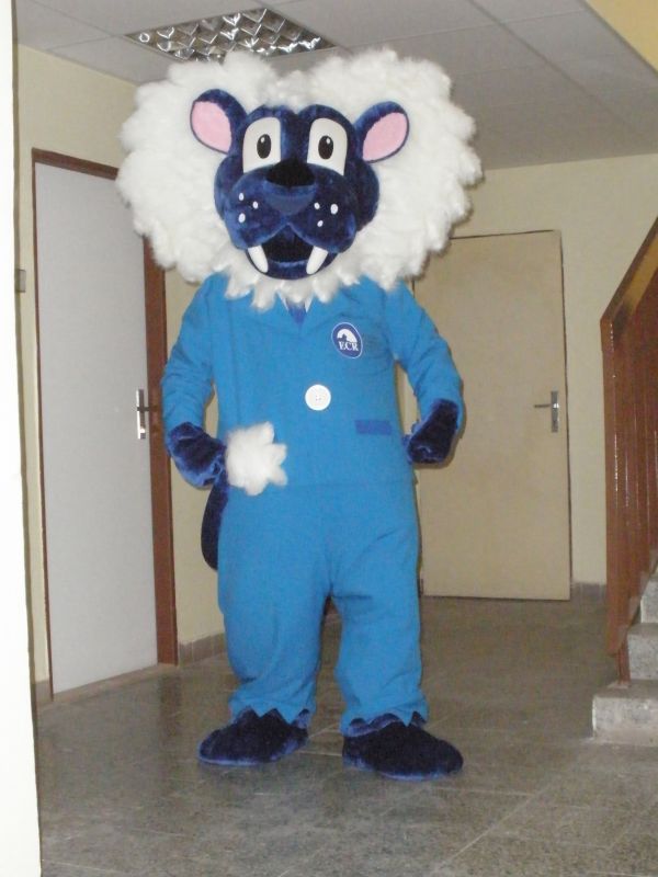 MASKOT . 278