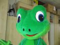 MASKOT . 504
